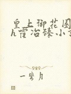 皇上御花园hlh霍冶臻小说