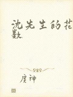 沈先生的花式调数封面