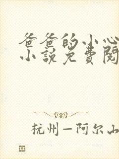 爸爸的小心肝儿小说免费阅读