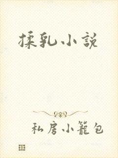 揉乳小说