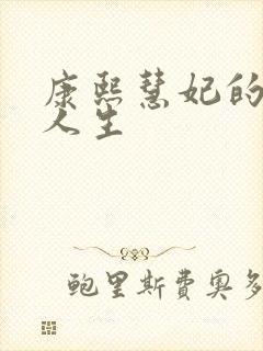 康熙慧妃的躺赢人生封面