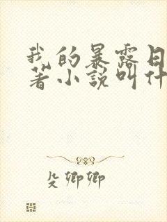 我的暴露日记原著小说叫什么封面