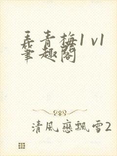 弄青梅1 v1笔趣阁