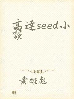 高达seed小说