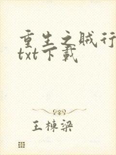 重生之贼行天下txt下载