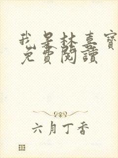 我是林喜宝小说免费阅读