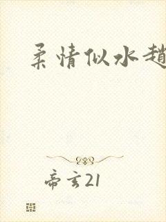 柔情似水赵雅儿