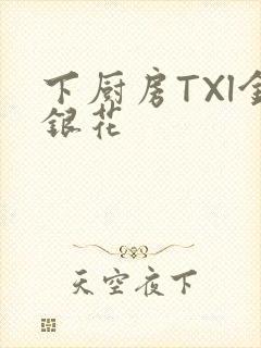 下厨房TXl金银花封面