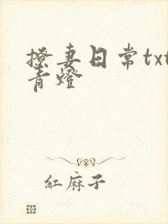 撩妻日常txt青灯
