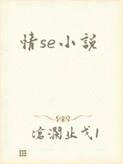 情se小说
