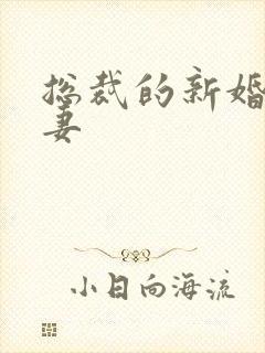 总裁的新婚下堂妻封面