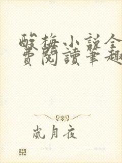 酸梅小说全文免费阅读笔趣阁