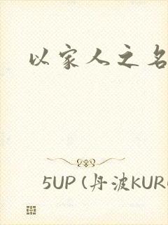 以家人之名小说