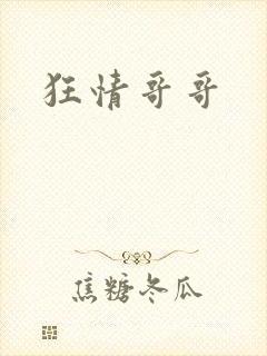 狂情哥哥封面
