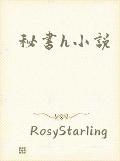 秘书h小说