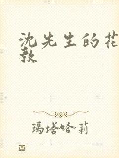 沈先生的花式管教