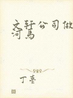 文轩公司做扩张河马