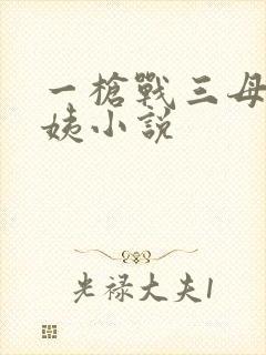 一枪战三母2雪姨小说
