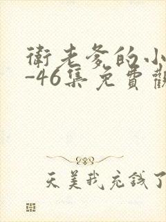 卫老爹的小船1-46集免费观看封面