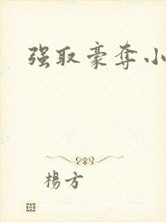 强取豪夺小说封面