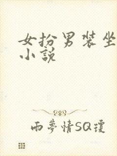 女扮男装坐江山小说