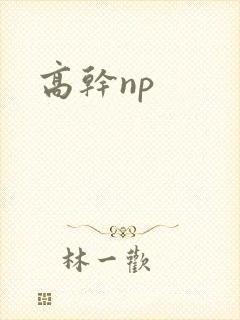 高干np