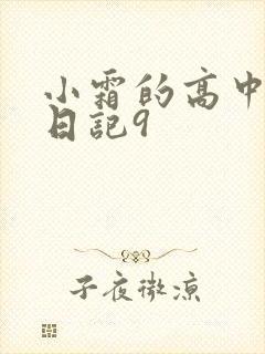 小霜的高中成长日记9封面