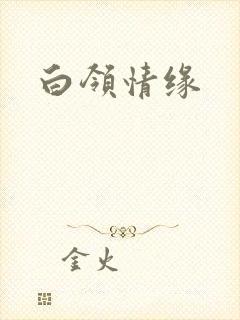 白领情缘