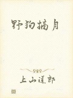 野狗摘月