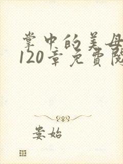 掌中的美母版主120章免费阅读
