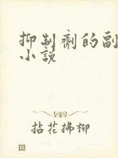 抑制剂的副作用小说封面