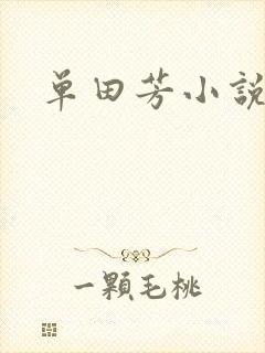单田芳小说