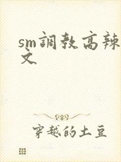 sm调教高辣h文