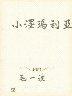 小泽玛利亚作品