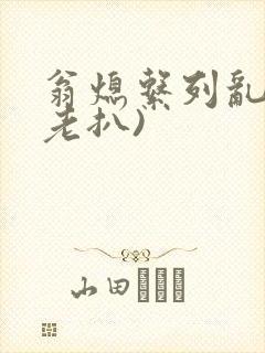 翁熄系列乱 (老扒)封面