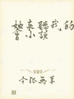 她来听我的演唱会小说