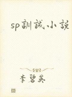 sp训诫小说封面