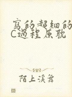 写的超细的多肉C过程原耽