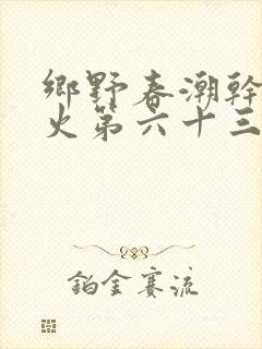 乡野春潮干柴烈火第六十三章