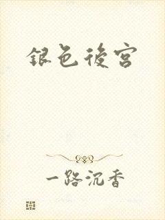 银色后宫