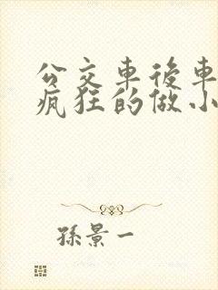 公交车后车座的疯狂的做小