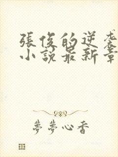 张俊的逆袭之路小说最新章节