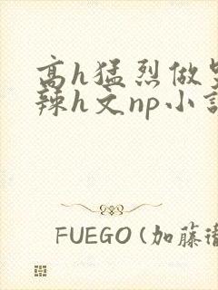 高h猛烈做哭高辣h文np小说