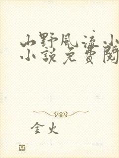 山野风流小神医小说免费阅读