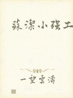 苏洁小强工地情