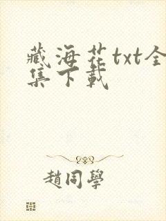 藏海花txt全集下载