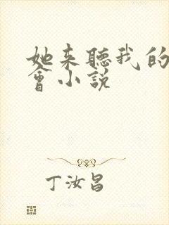 她来听我的演唱会小说