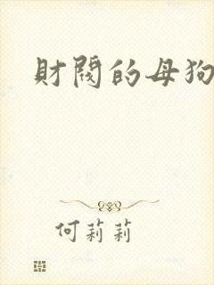财阀的母狗们
