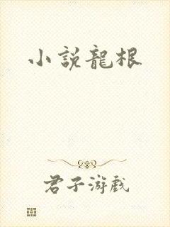 小说龙根