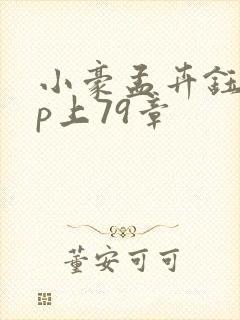 小豪孟卉钰慧三p上79章